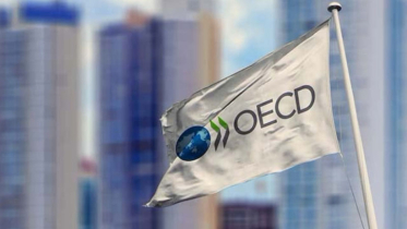 OECD lifts 2024 growth forecasts, driven by US