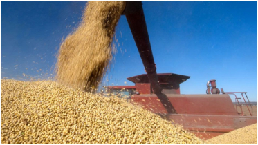US soybean farmers hit hard by renewed trade war with China