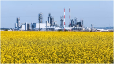 Chinese tariffs on Canadian agricultural products take effect