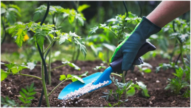 BD seeks new fertiliser sources as MidEast conflict disrupts supply