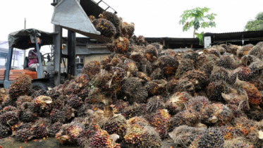 Malaysia boosts exports of palm oil to China