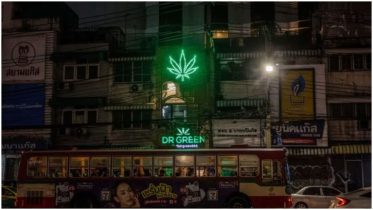 Thailand to re-criminalise Cannabis, threatening $1bn industry