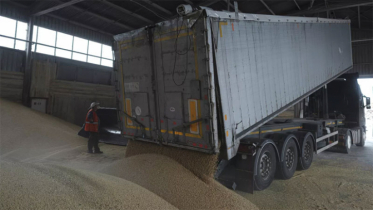 Hungary to extend ban on Ukrainian grain imports
