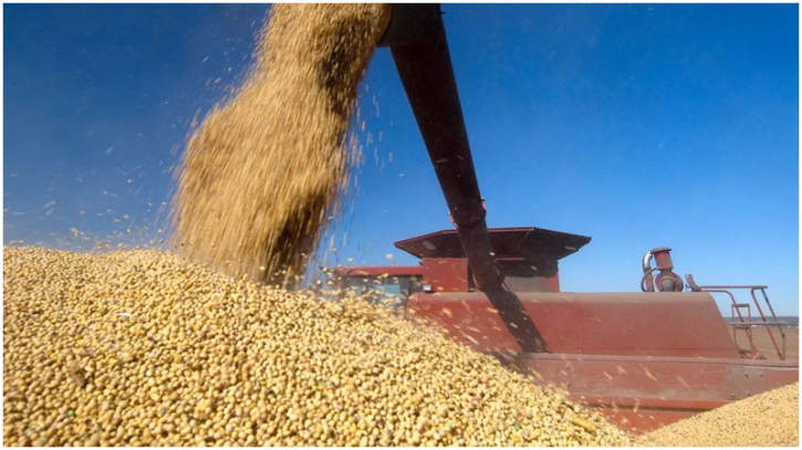 US soybean farmers hit hard by renewed trade war with China