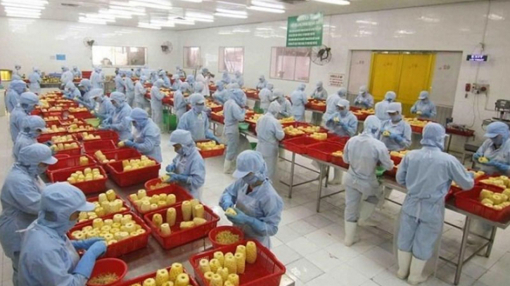 Vietnam's vegetable exports set to surpass $1bn by 2030
