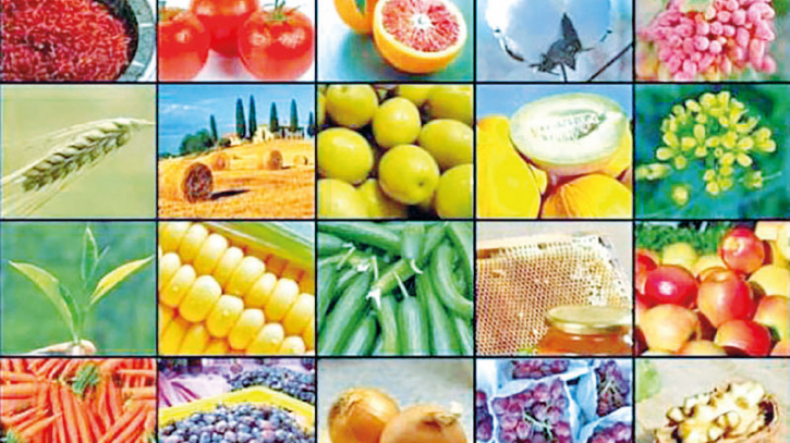 Bangladesh to gain capacity to export agri products to all countries Bangladesh to gain capacity to export agri products to all countries