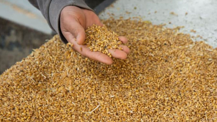 Russia can harvest 145mn tons of grain in 2024