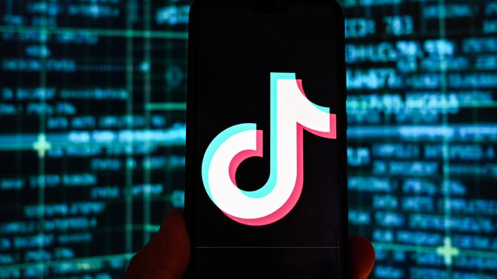EU bans TikTok from official devices