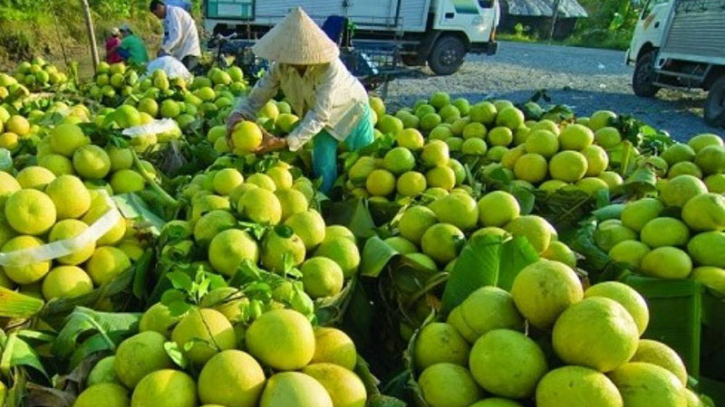 Vietnam’s fruit, vegetable export revenue exceeds $1bn in Q1